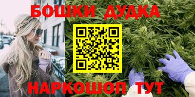 стаф Шелехов
