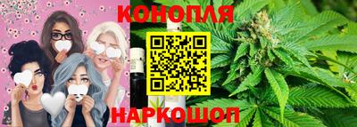 стаф Шелехов