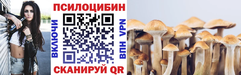где купить наркоту  Орск  Галлюциногенные грибы прущие грибы 