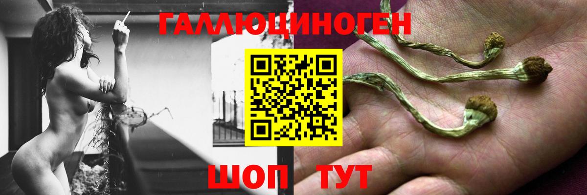 Галлюциногенные грибы Psilocybine cubensis  Вход с VPN  Орск  Псилоцибиновые грибы Psilocybine cubensis 